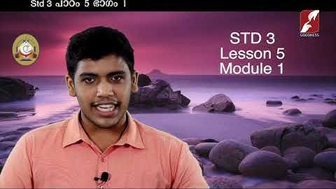 MANE NOBISCUM | Std 3 & 4 | Lesson 5 | Module 1 CATECHISM | സഭാ ശുശ്രൂഷകർ