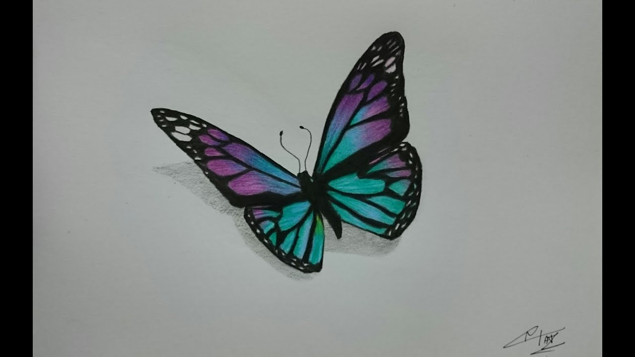 How to Draw a Realistic Butterfly with Colored Pencils - YouTube