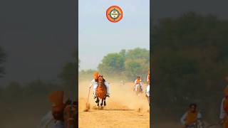 Neza Bazi 2024 In Pakistan nezabazi horseriding youtubeshorts shortvideo gujarkhan pothwar