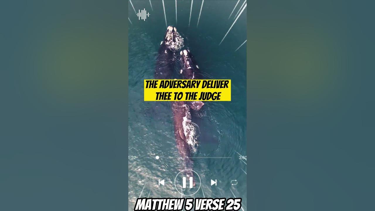 Matthew 5 Verse 25 YouTube matthew-5-verse-25-youtube