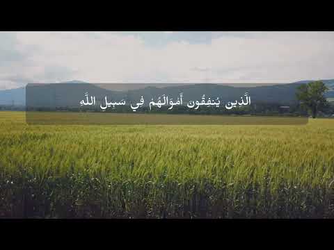 مثل الذين ينفقون أموالهم في سبيل الله للشيخ ناصر القطامي 