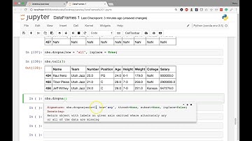 Drop Rows with Null Values with pandas