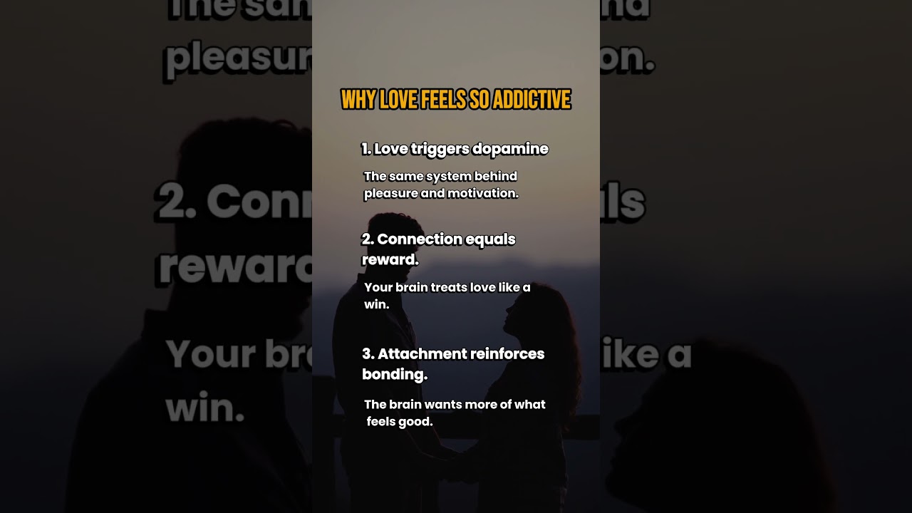 Love activates the brain’s reward system, making connection feel powerful and motivating 