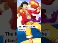 Monkey D Luffy! #onepiece #onepiececommunity #luffy #monkeydluffy #luffy