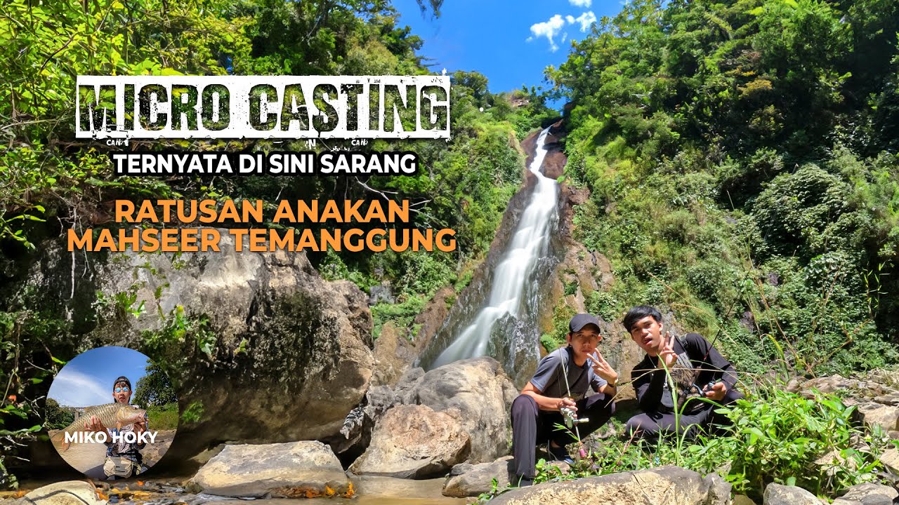 Stream Fishing ASMR Susur Sungai Bareng Fajar Arief Sungai Kecil Di Huni Ratusan Anakan Mahseer