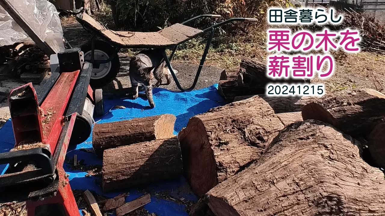 田舎暮らし 栗の木を薪割り20241215 - YouTube