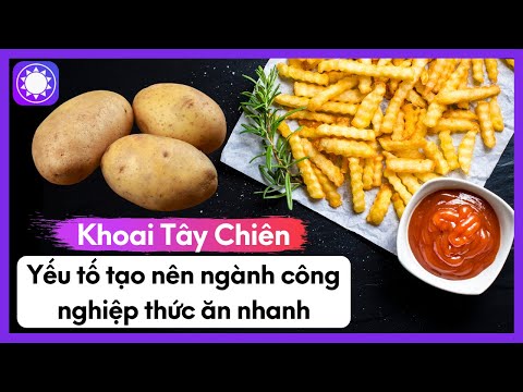 Video: Tại Sao Khoai Tây Lại Hữu ích - Thành Phần Và đặc Tính Hữu ích