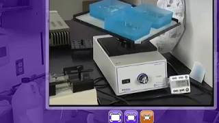 Electrical Safety in the Laboratory