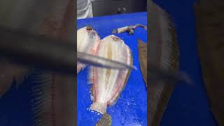 Çok rahatlatıcı bir video. Dil balığı #short