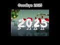 Goodbye 2025. #newyear #edit #shorts