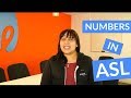 ASL Numbers for Counting 1-10, and More!