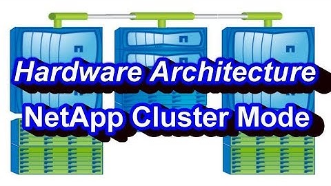 Hardware Architecture Of NetApp Cluster Mode
