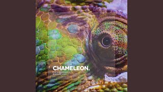 Chameleon