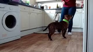 2. Leg Weaves   fading out target