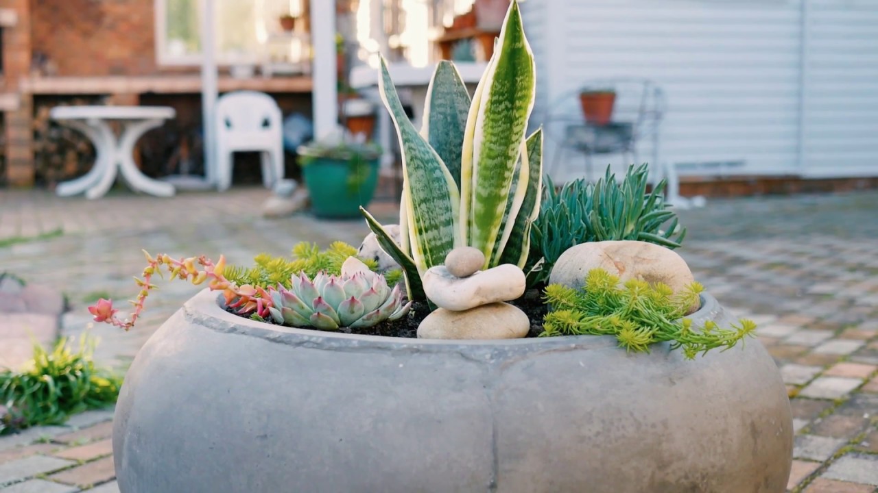 Real Estate / Interior - MAKIE SAKIE AirBnB