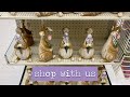 EASTER SHOP WITH US 2021 | Hobby Lobby