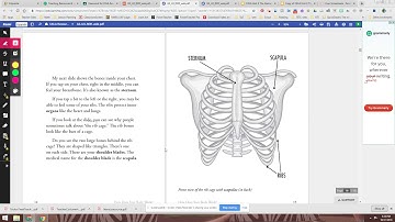 Unit 3 Chapter 1 The Skeletal System