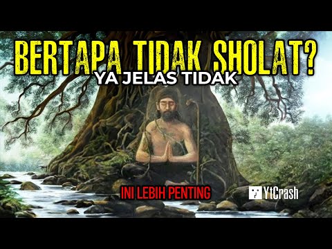 Video: Adakah anda perlu menjadi dongeng 3 untuk bertapa?