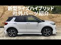 【ライズハイブリッド】社外パーツ紹介