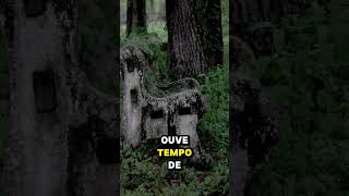 A crise passa #deus #motivacional #fe #status#pregacao