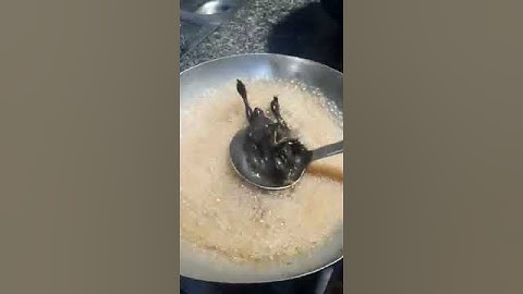 Món Ngon Dể Làm Gà Ác Tiềm Thuốc Bắc | Phước Kha Vlog #shorts