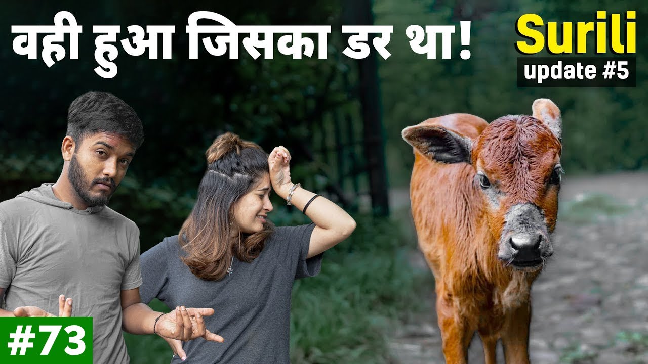 This rescued calf is actually a little devil! 😈 | Animal Vlogs | Peepal Farm Update #73