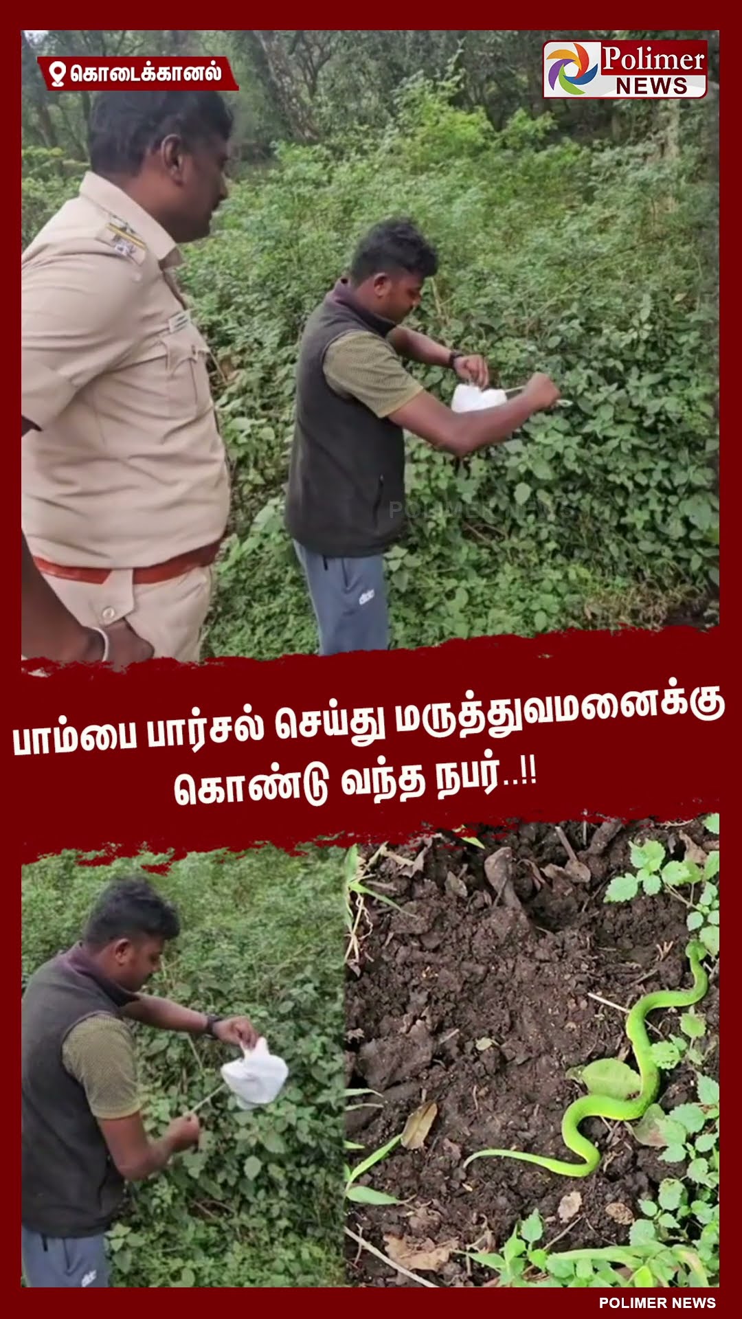 பாம்பை பார்சல் செய்து மருத்துவமனைக்கு கொண்டு வந்த நபர்..!! #shorts | #snake