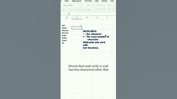 wildcard in Excel #shorts #trending