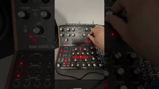 Moog meets Make Noise - DFAM - Multiwave - Polimaths #synthjam #modular #electronicmusic