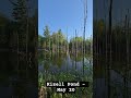 Kizell Pond - May 20 #canada #nature #ottawa #pond #sunny
