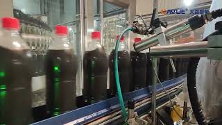 PET Line Big bottle coke Full Bottle Inspection machine (cap closure, liquid level, code)