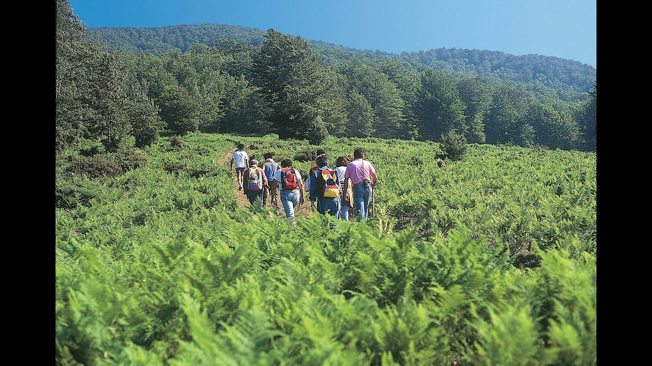 Aspromonte: la frontiera di un continente. (film G.E.A. 1994)