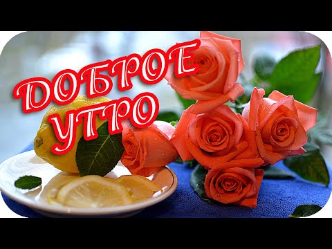 Доброе утро! ❤️ Дай Бог вам только счастья и тепла! ❤️Good morning!❤️