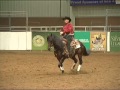 Hes Wright On Open Bridle Champion NRCHA World Show