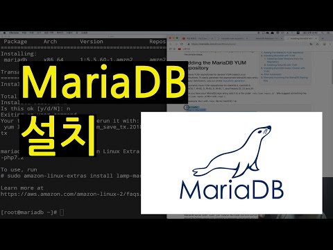MariaDB 최신버전 까이것 대충 설치하기 - 호돌맨