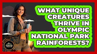 What Unique Creatures Thrive In Olympic National Park Rainforests? - Exploring Campgrounds
