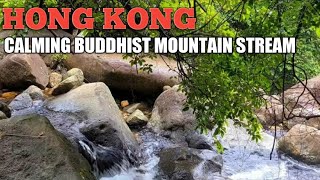 ASMR Relaxing gentle mountain stream on the Buddhist trail on Lantau Island Hong Kong