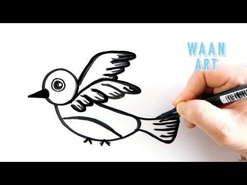 Drawing cartoon | Cute Bird วาดรูปนกน่ารัก