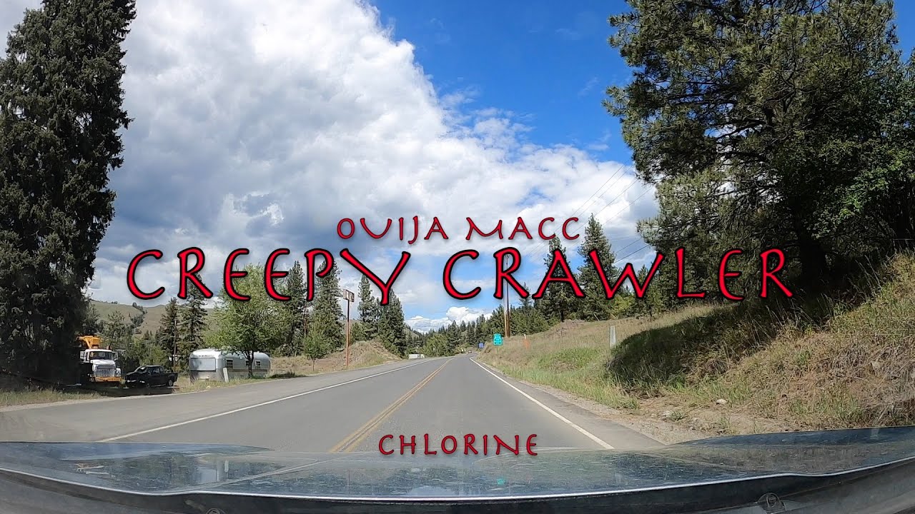 Cover Ouija Macc - CREEPY CRAWLER (Lyrics)