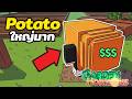 ผมปลูก Potato ใหญ่ที่สุดเท่าที่เคยปลูกมา ราคาดีมาก | Roblox Garden Horizons