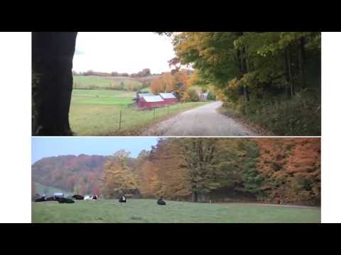 Video: Pildistamine Jenne Farmis Vermontis