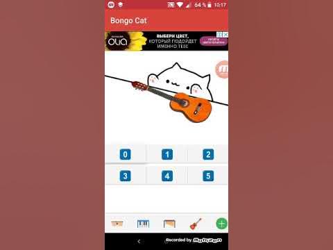 Бонго Кэт Ч.О!! - YouTube