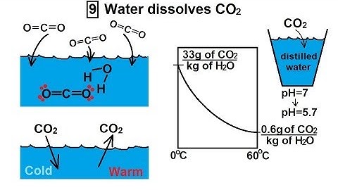 Chemistry - Liquids and Solids (23 of 59) Structures & Properties of H2O: Water Dissolves CO2