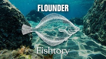 Catching Flounder: Everything You Need To Know | Fishtory