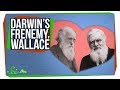Wallace, Darwin's Forgotten Frenemy
