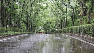 The best rain sound that will help you sleep comfortably, relax and relieve insomnia  ASMR