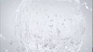 Vinheta Outono Globo - 2018