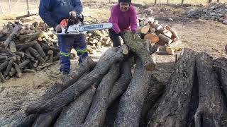 Stihl ms 500i cutting firewood