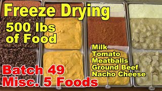 Freeze Drying Your First 500 lbs of Food - Batch 49 - Milk, Tomato, Meatballs, Beef, Nacho Sauce