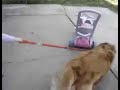 Go ! Bwaaah !